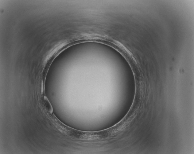 X0000083011269200702161542