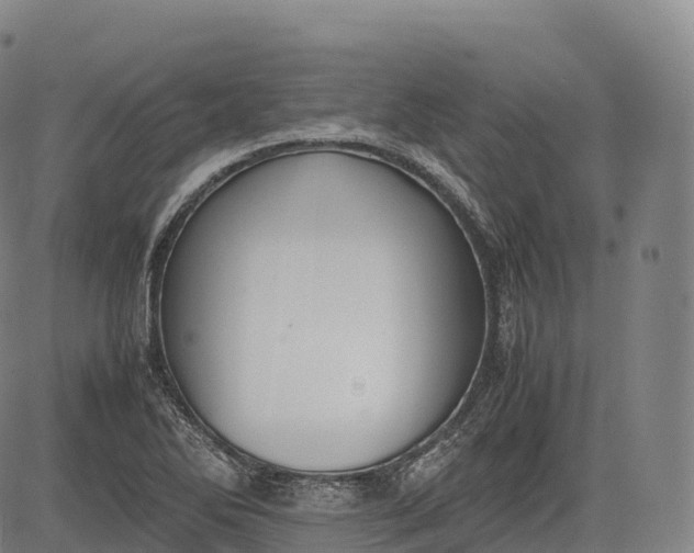 X0000083011270200702161542