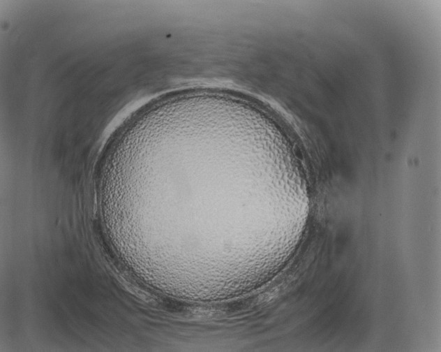 X0000083011271200702161542