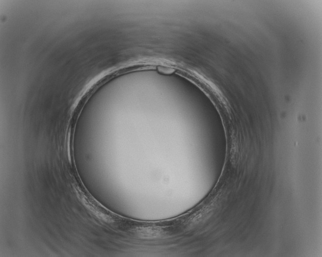 X0000083011272200702161542