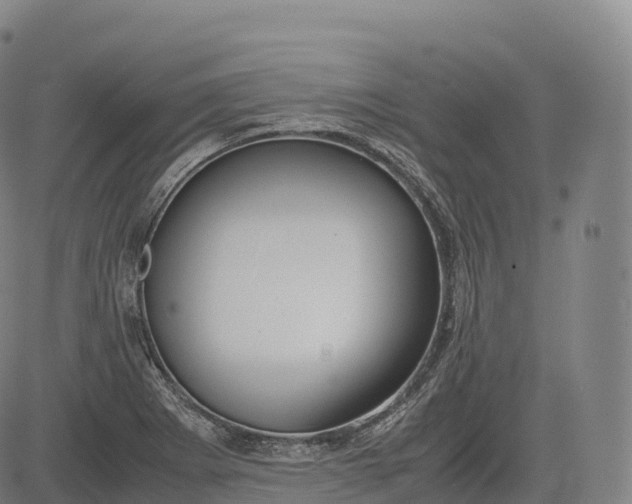 X0000083011273200702161542