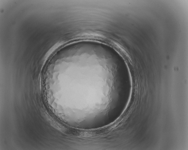 X0000083011275200702161542