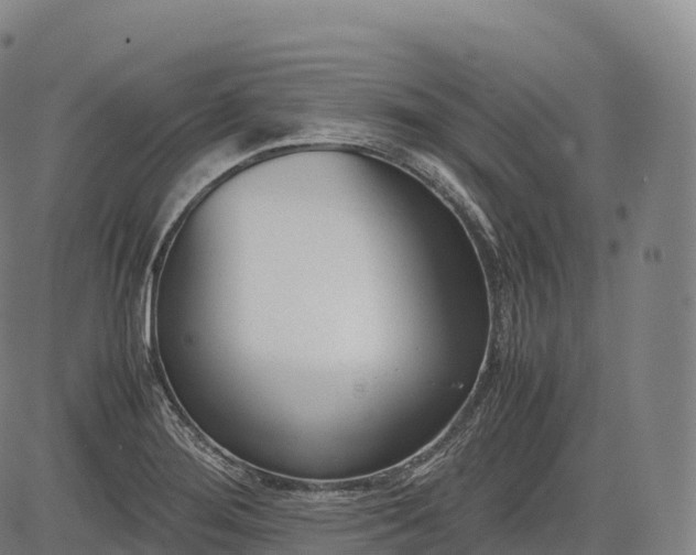 X0000083011276200702161542