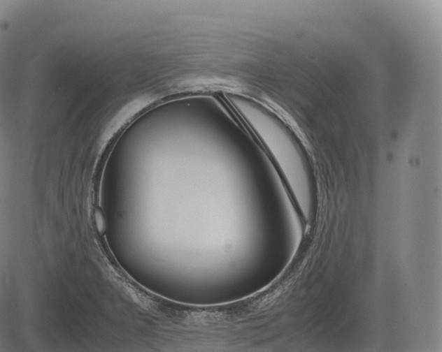 X0000083011277200702161542