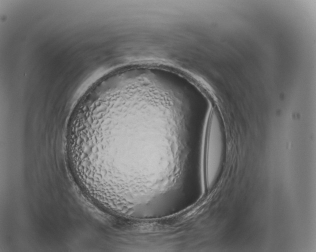 X0000083011279200702161542