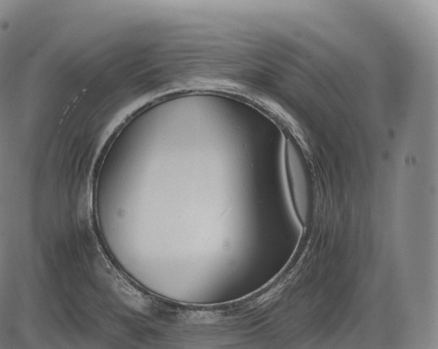 X0000083011280200702161542