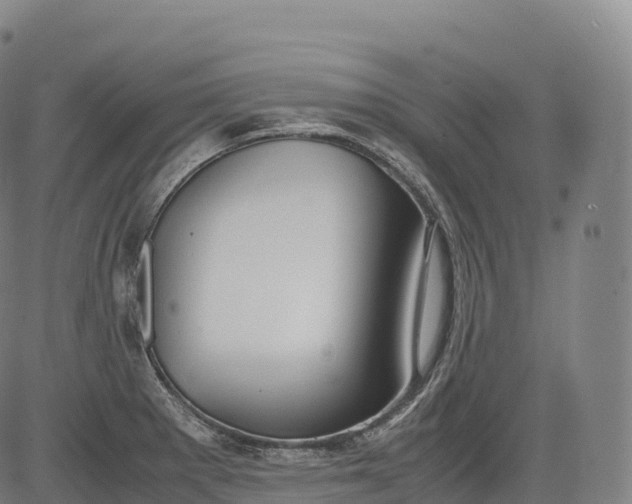 X0000083011281200702161542