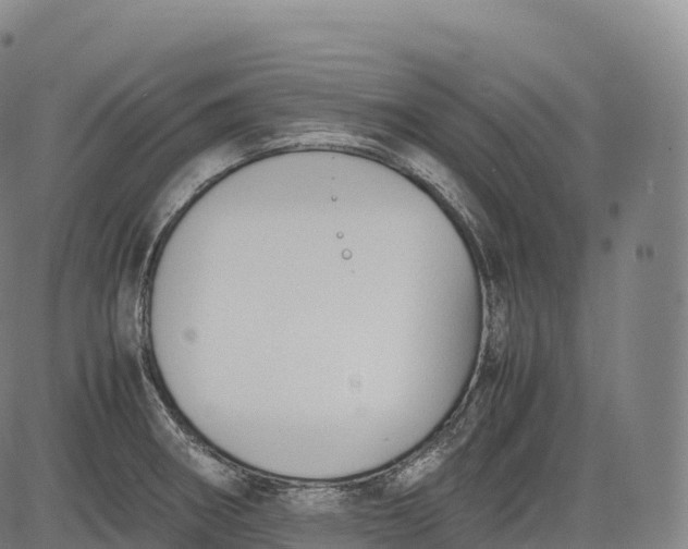 X0000083011282200702161542