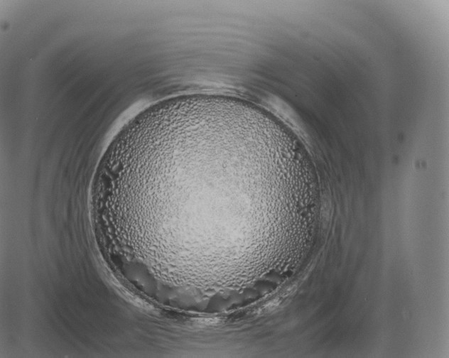 X0000083011283200702161542