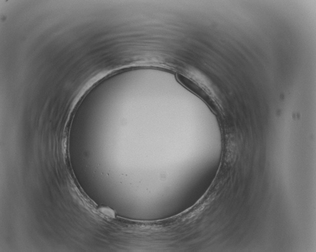 X0000083011284200702161542