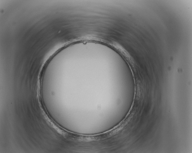 X0000083011286200702161542