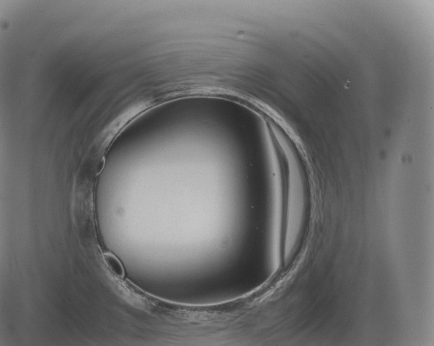 X0000083011289200702161542