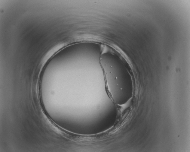 X0000083011293200702161542