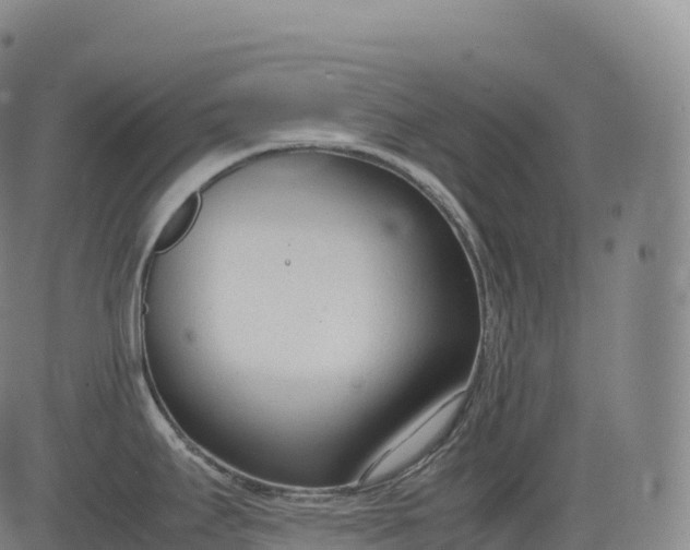 X0000083011295200702161542