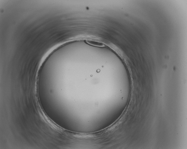 X0000083011296200702161542