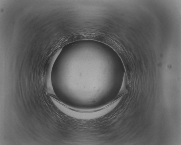 X0000083011298200702161541