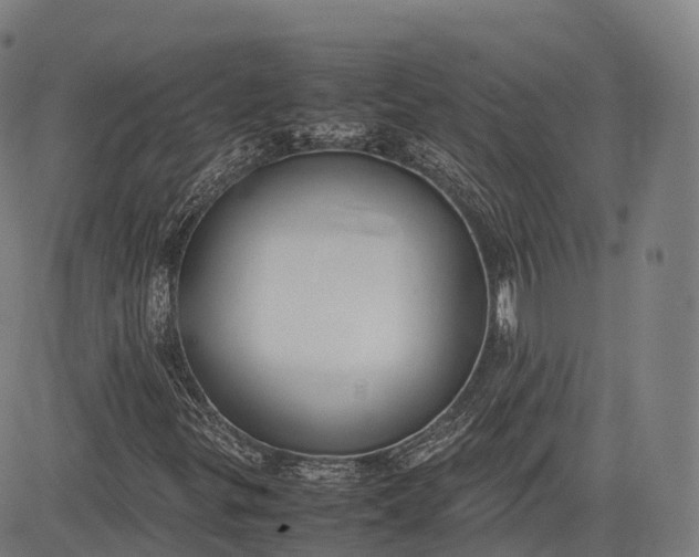 X0000083011299200702161541