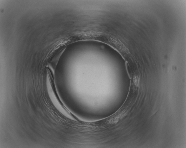 X0000083011300200702161541