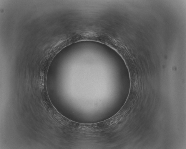 X0000083011301200702161541