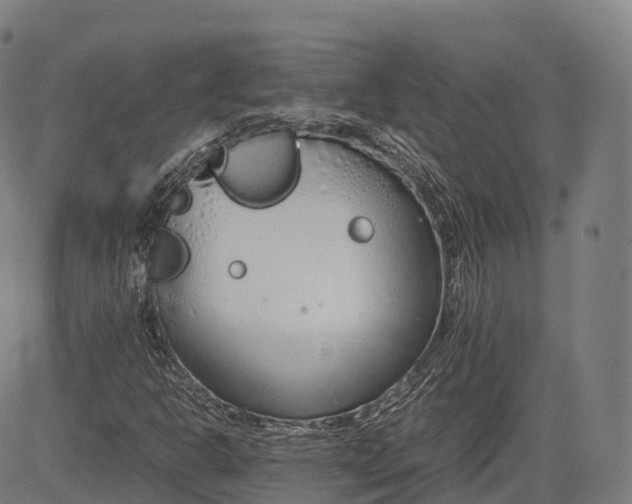 X0000083011302200702161541