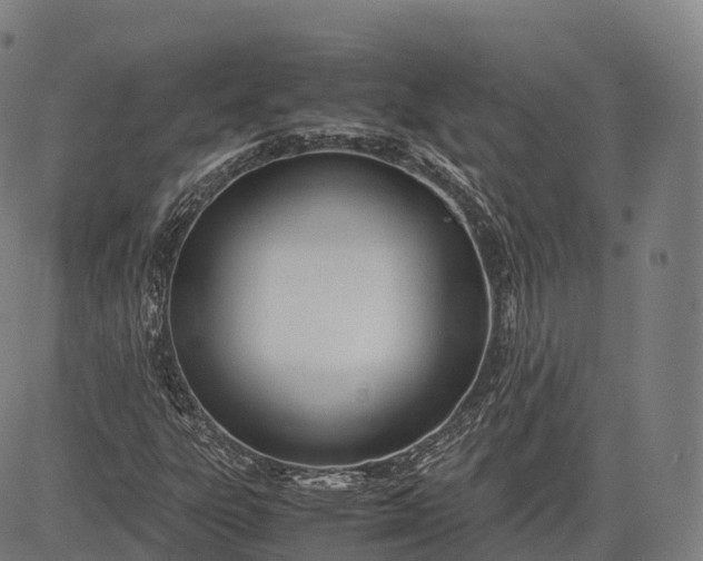 X0000083011303200702161541