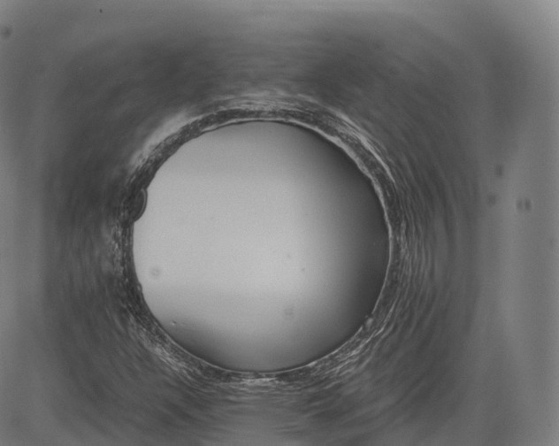 X0000083011304200702161541