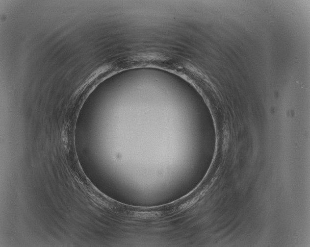 X0000083011305200702161541