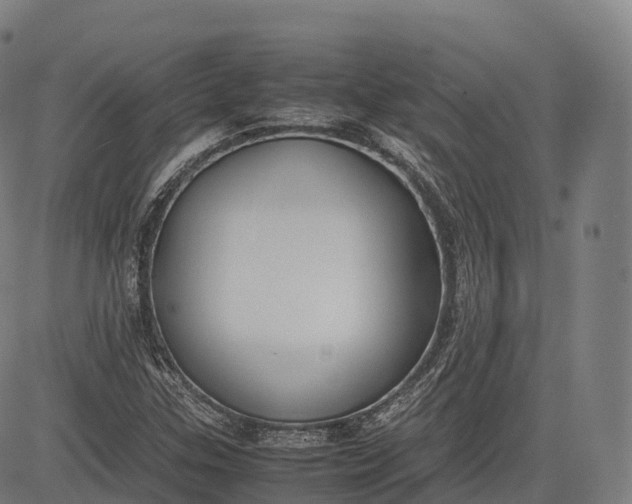 X0000083011307200702161541