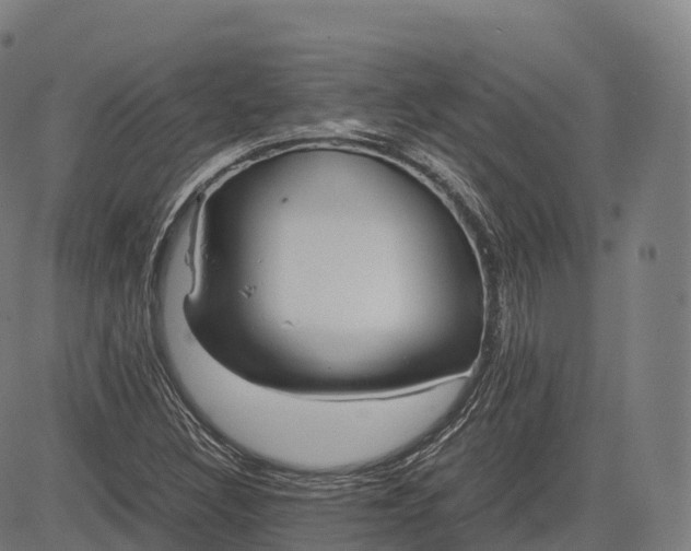 X0000083011308200702161541