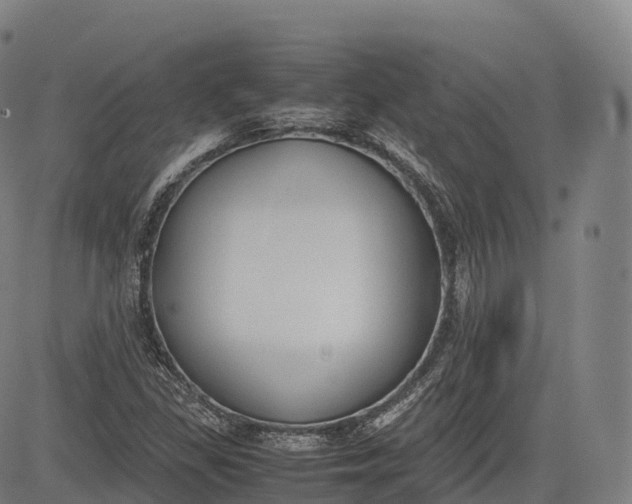 X0000083011309200702161541