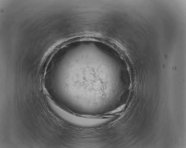 X0000083011310200702161541