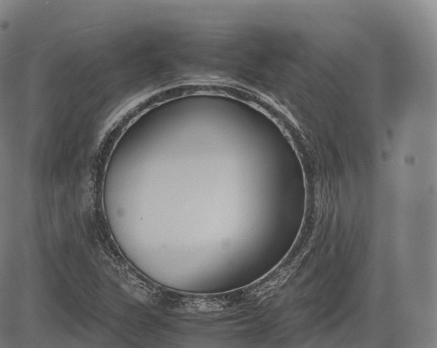 X0000083011311200702161541