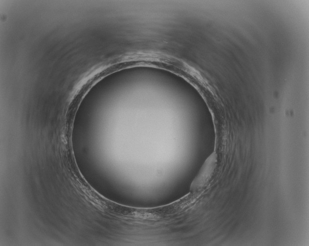 X0000083011312200702161541