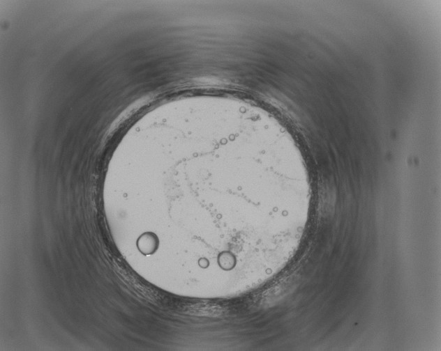 X0000083011314200702161541