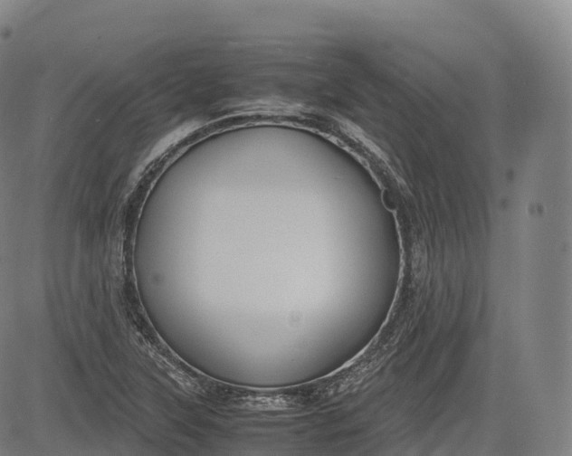 X0000083011315200702161541