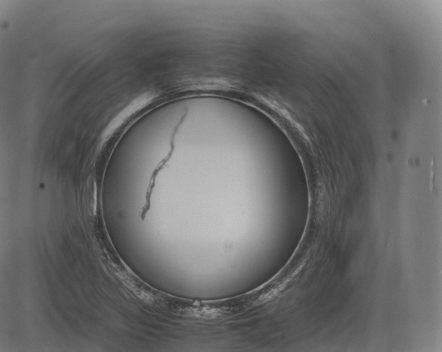 X0000083011317200702161541