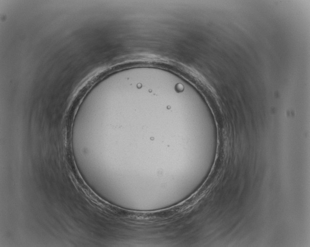 X0000083011318200702161541