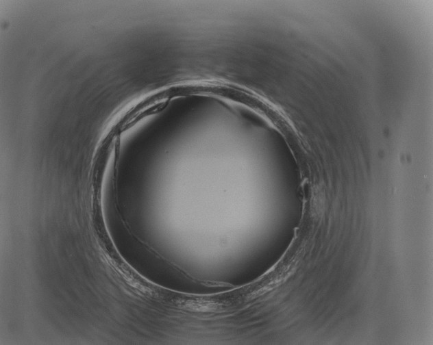 X0000083011319200702161541