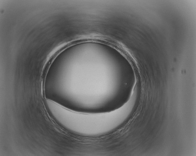 X0000083011320200702161541