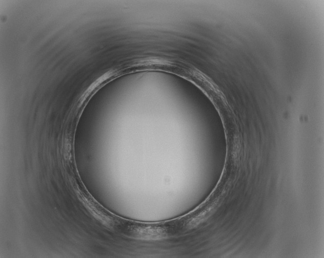 X0000083011321200702161541