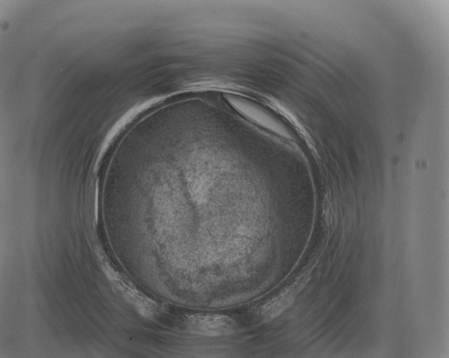 X0000083011323200702161541