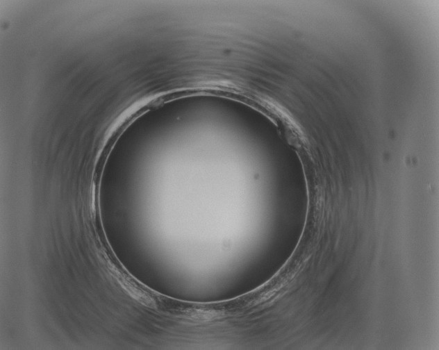 X0000083011324200702161541