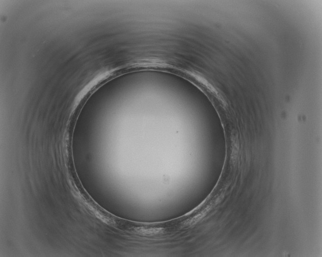 X0000083011325200702161541