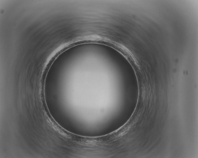 X0000083011326200702161541