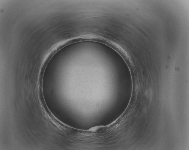 X0000083011327200702161541