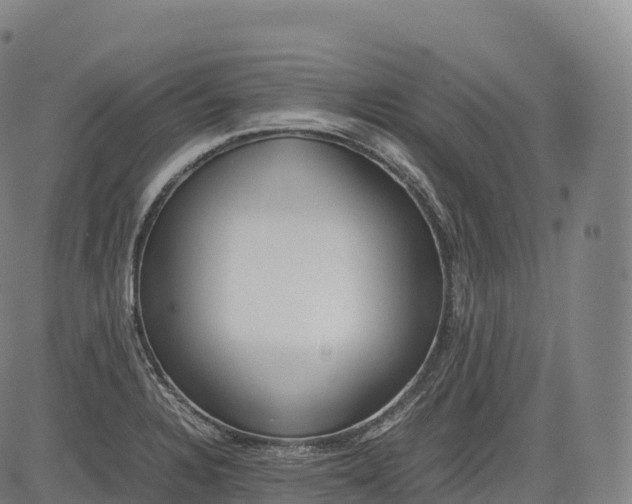 X0000083011328200702161541