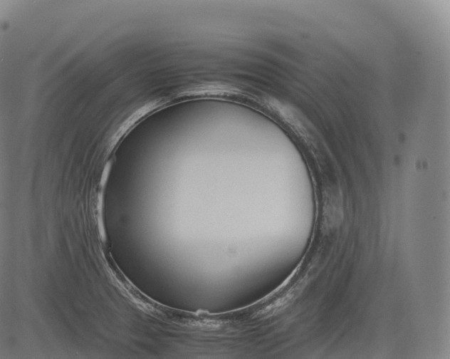 X0000083011329200702161541