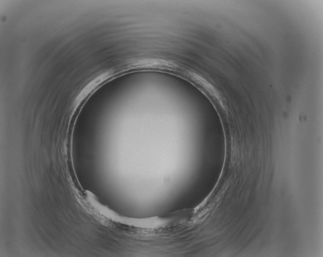 X0000083011330200702161541