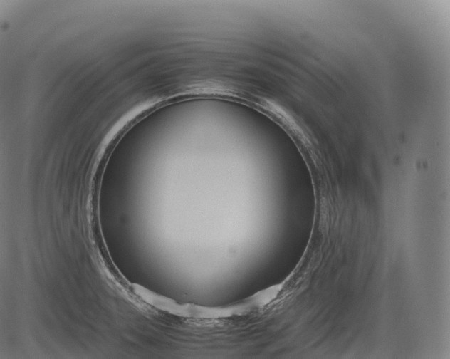 X0000083011331200702161541