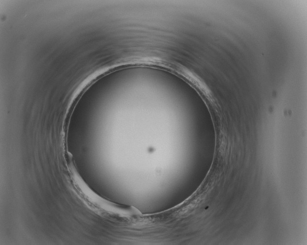 X0000083011332200702161541